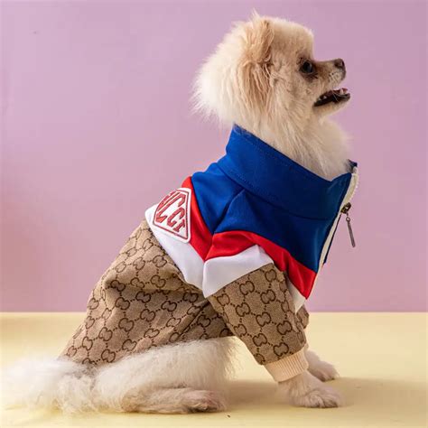 gucci dog outfit|gucci inspired dog clothes.